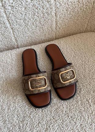 Шльопанці coach