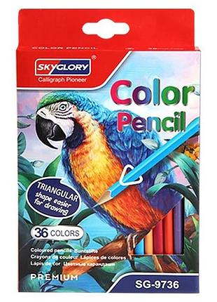 Цветные карандаши skyglory calligraph pionear 36 цветов, треугольные (premium)