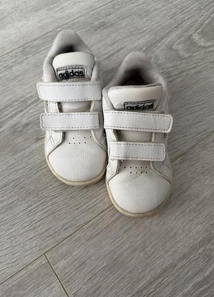 Шкіряні кросівки adidas