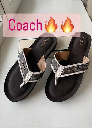 Вʼєтнамки coach!