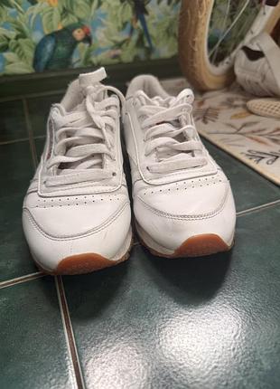 Кросівки reebok