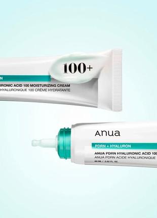 Anua увлажняющий крем для лица с пдрн и гиалуроновой кислотой pdrn hyaluronic acid 100 moisturizing cream 60 мл
