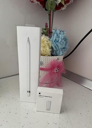 Оригінальний стилус apple з usb адаптером 2