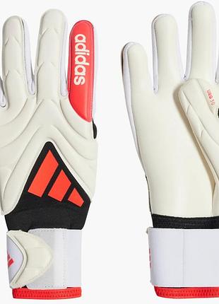Urbanshop com ua перчатки вратарские унисекс adidas copa league white jh3793 размеры запитуйте