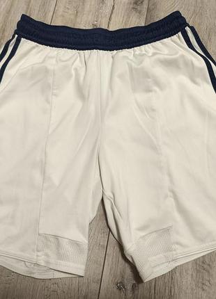 Мужские футбольные шорты scotland adidas