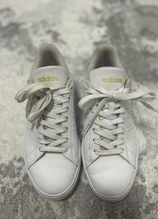 Кросівки adidas advantage 2.0