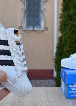 Adidas superstar белые/черные полоски