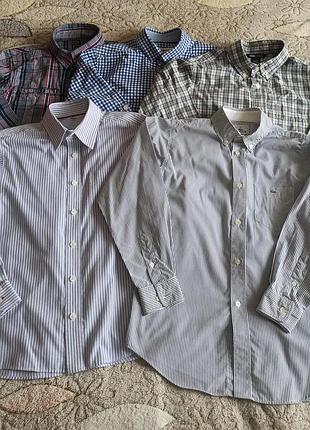 Сорочки чоловічі, lacoste, h&amp;m,neim it/набір