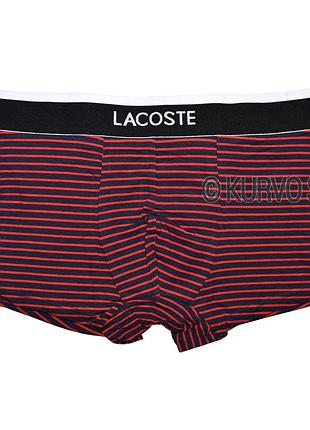 Мужские трусы lacoste, материал хлопок, цвет темно-синий m, красный в полоску