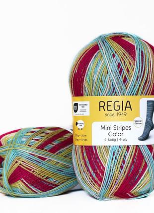 Regia color 100 г, 00488