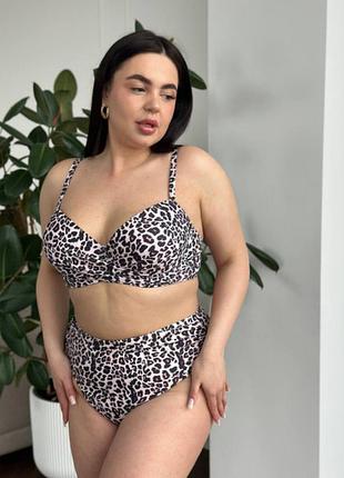 Жіночий роздільний леопардовий купальник plus size з поролоновою чашкою