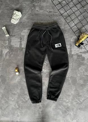 Спортивные штаны the north face серые утепленные зимние мужские xl