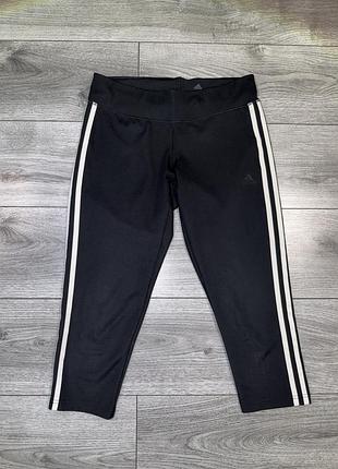 Жіночі спортивні бріджіі adidas