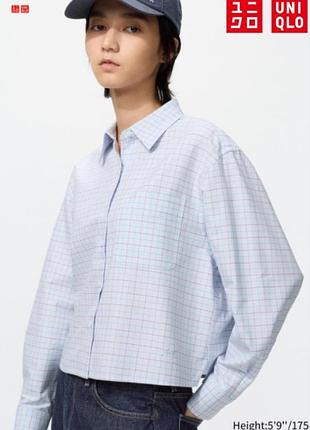 Сорочка оксфордського крою uniqlo