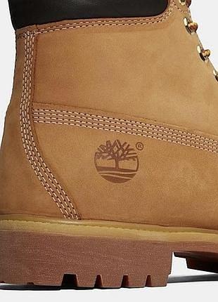 Timberland 2