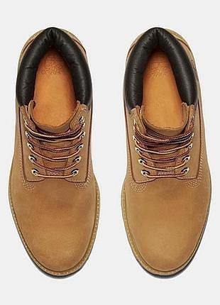 Timberland 3