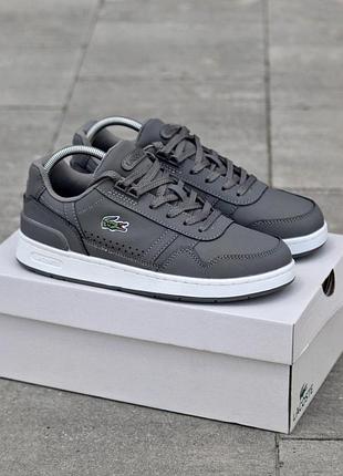 Кеды lacoste серые мужские 43