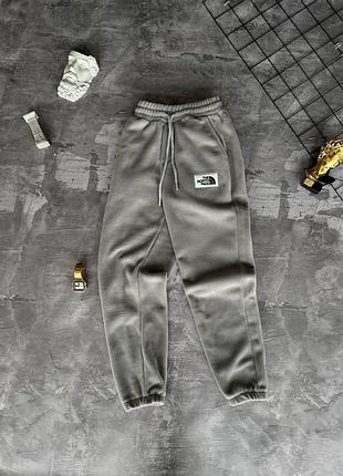 Спортивные штаны the north face серые утепленные зимние мужские xxl