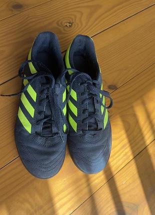 Кросівки adidas