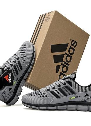Чоловічі кросівки adidas climacool сірі текстильні повсякденні адідас клімакул сітка літо весна легкі спортивні