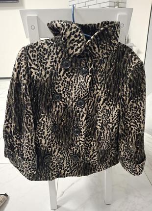 Стильное укороченное меховое пальто-жакет st bernard for dunnes (размер eur 42, l)