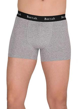 Мужские трусы боксеры berrak 4476 xxl, сірий