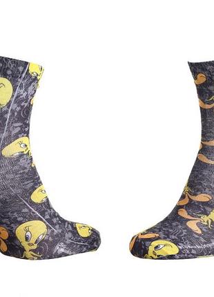 Шкарпетки looney tunes tweety jambes croisees чорний діти 36-41