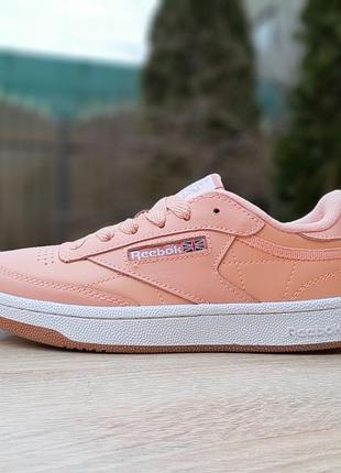 Reebok workout пудра
