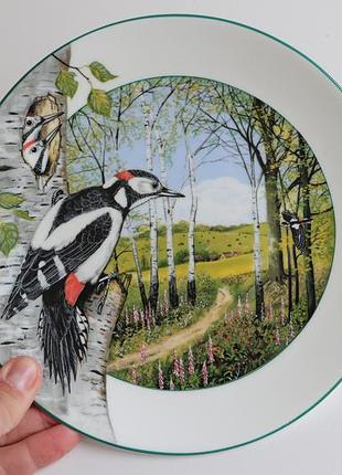 Коллекционная винтажная тарелка royal doulton the woodland woodpecker англия, 1989 г