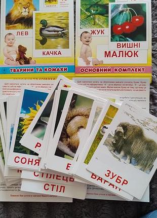 Навчальні карточки для малюків з півроку