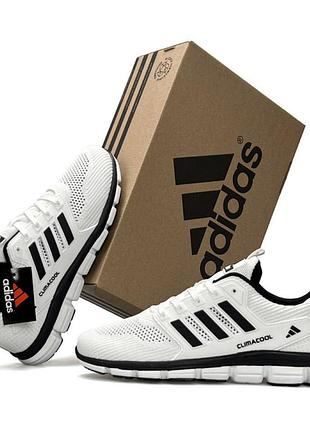 Чоловічі кросівки adidas climacool білі текстильні повсякденні адідас клімакул сітка літо весна легкі спортивні 46