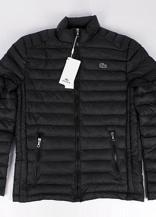 Зимняя куртка lacoste, цвет черный, разные размеры черный, l