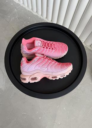 Кросівки nike tn plus pink 37