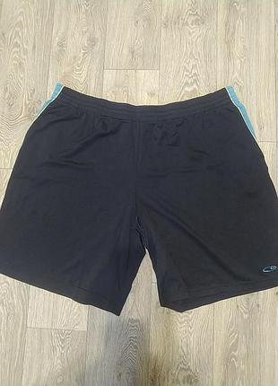 Спортивные мужские шорты champion