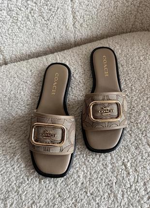 Тапочки шльопанці coach