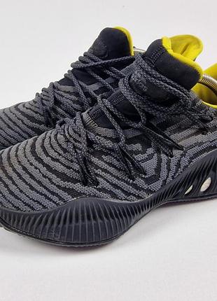 Крассовки adidas crazy explosive 5