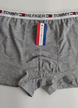 Модні сірі чоловічі труси tommy hilfiger — труси для хлопця