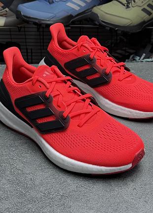 Кросівки adidas pure boost if1546
