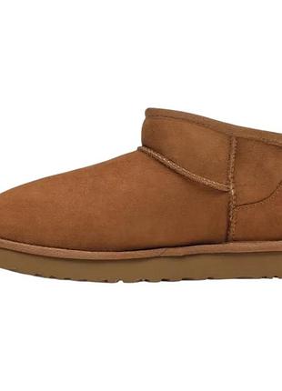 Urbanshop com ua ботинки ugg classic ultra mini brown 1116109-che (ориджинал) размеры запитуйте