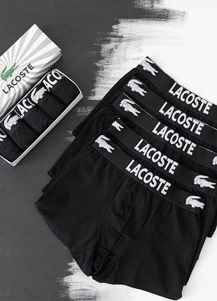 Мужские трусы lacoste (лакост) набор из 5 штук удобные (хлопковые) m