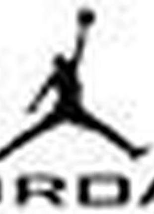 Кроссовки air jordan spigzike low nbhd hm4732-200 44