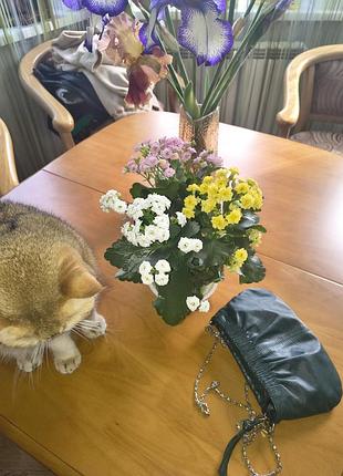Клатч,косметичка 5