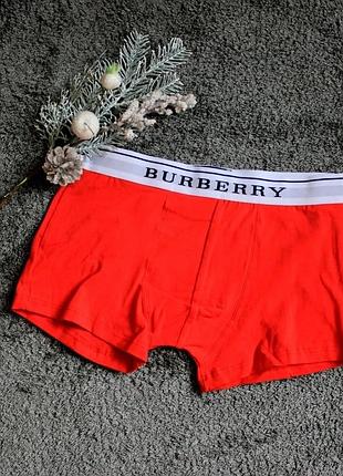 Мужское белье burberry red l