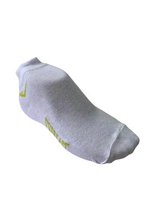(188 827) носки everlast ev164*01 (2:1) женск. белый 36/38