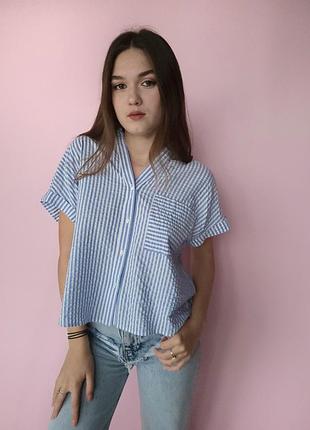 Рубашка женская oversize укороченная в белую полоску pigalle голубая