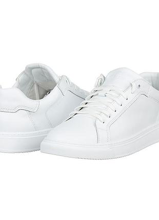 Чоловічі білі шкіряні кросівки clubshoes 20342
