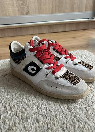 Кросівки — модель coach citysole з леопардовим принтом та акцентними червоними шнурками