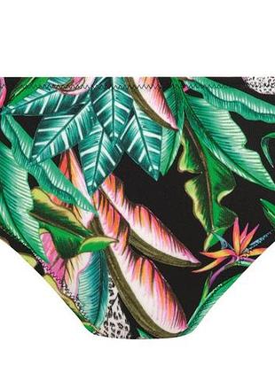 Плавки freya cala selva 203170 s jungle (889501701551 )