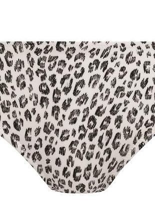 Плавки freya cala selva 203187 m leopard (889501701650 )