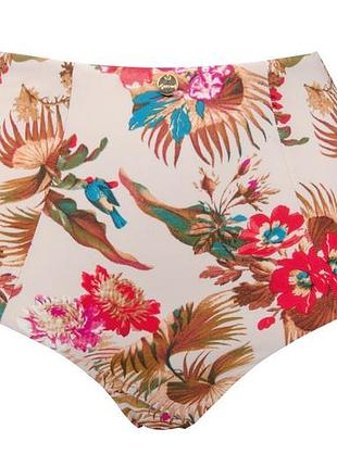 Плавки gossard bird of paradise 8874 xs бежевий (5053014099138)
